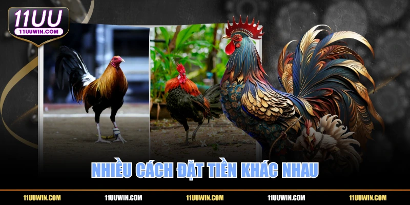 Nhiều cách đặt tiền khác nhau